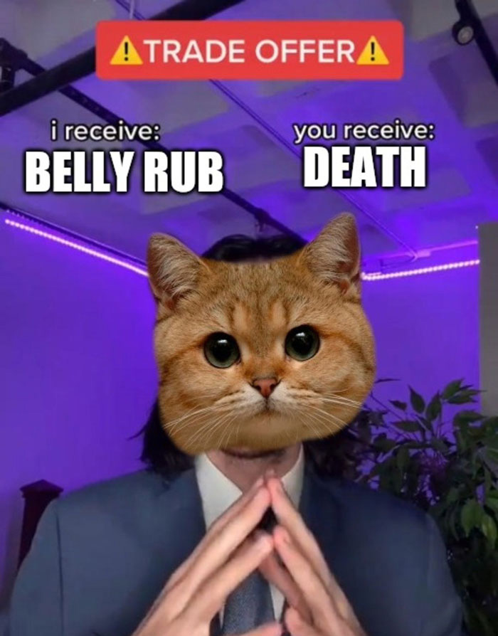 Cat-faced person in a meme with "Trade Offer" text, showing the humorous exchange of "belly rub" for "death."