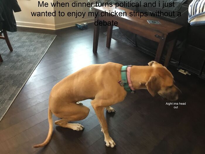 Aight Ima Head Out (Featuring My Great Dane, Sky)