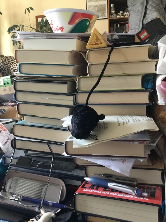 Part Of One Of 3 Bookshelves (Thanks To Dad) And One Pile Of 2 Waiting For Shelf Space