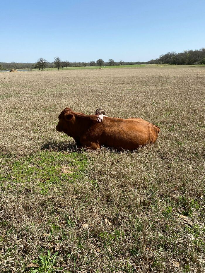 Taking A Nap With Cherry Girl