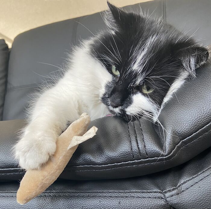 Dirty Harris. I Fell In Love With His Daddy And Then Him...or Maybe It Was The Other Way Around.