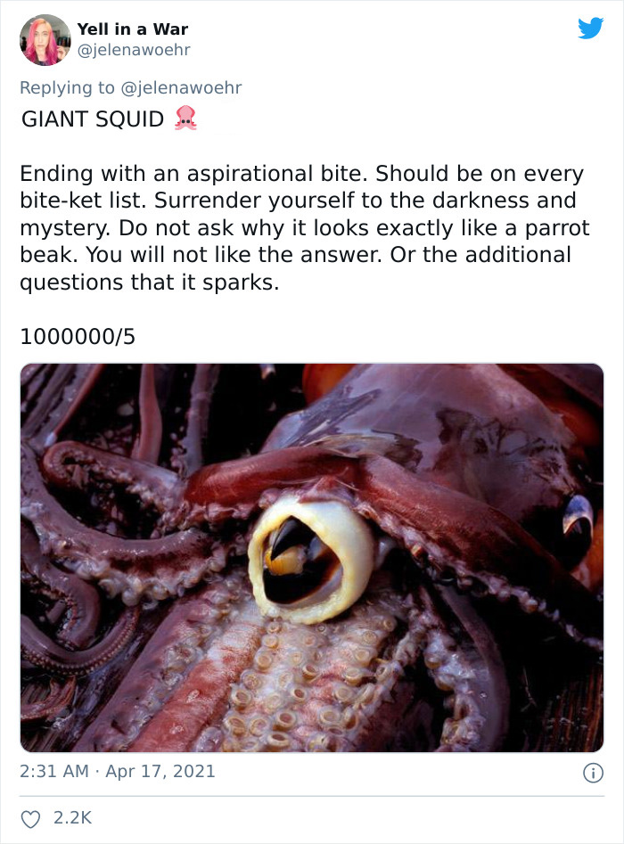 Animal-Bites-Being-Bitten-Review-Ranking-Twitter