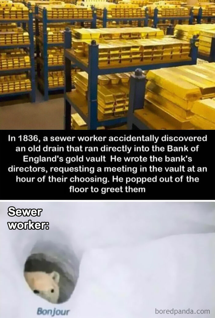 🔥👉s W I P E 👉🔥to Learn The History Behind The Meme
•
•
•
•
👉 Follow @historymemes_explained For More Memes With Interesting Explanations!