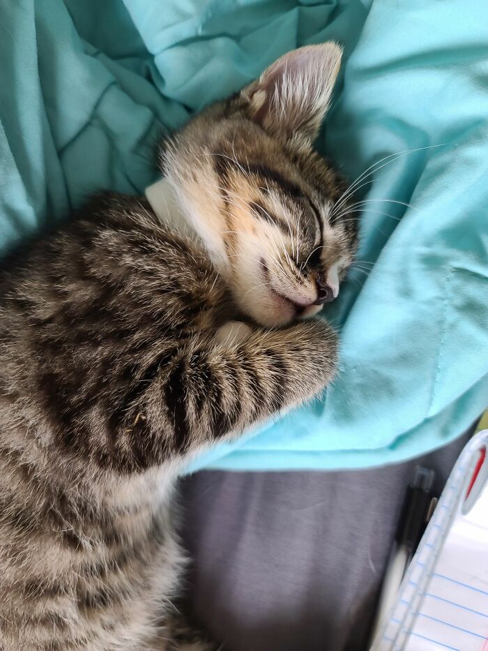 My Sweet Boy Macabre