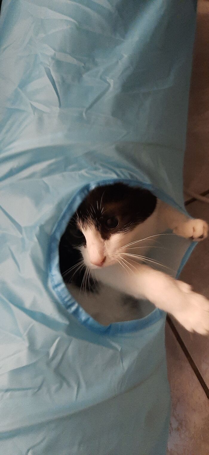 My Princess Nahal. A Before And After