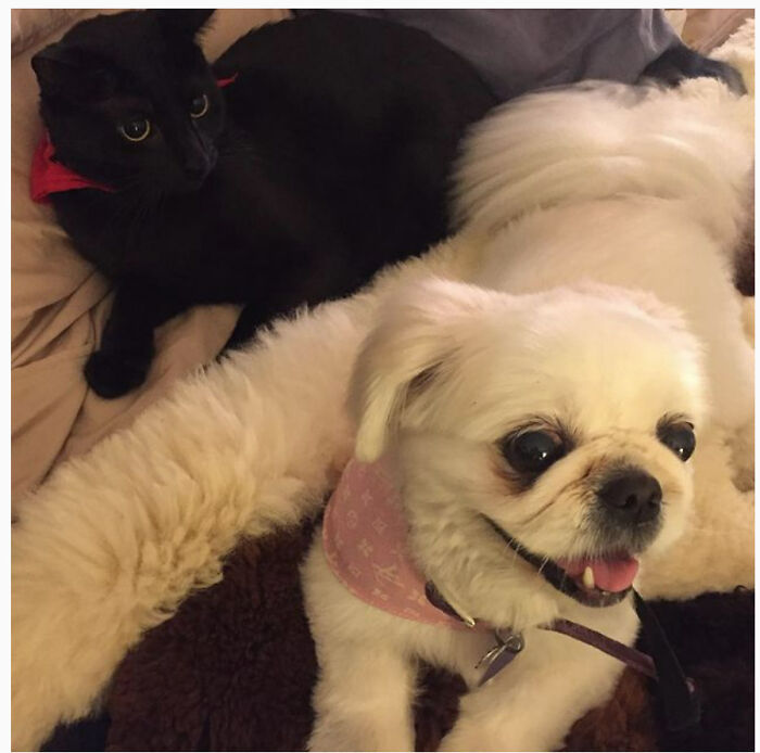 Best Friends Forever !