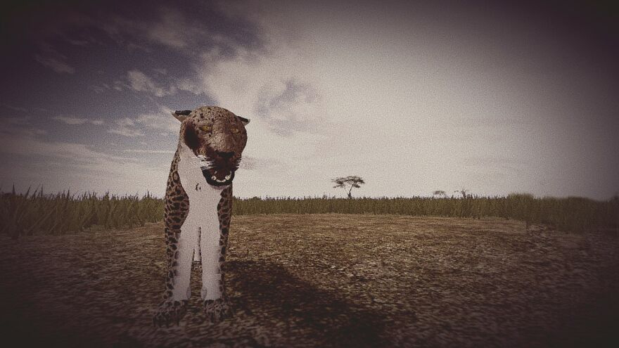 Here Is My Current One, I Change Animals Every Month.