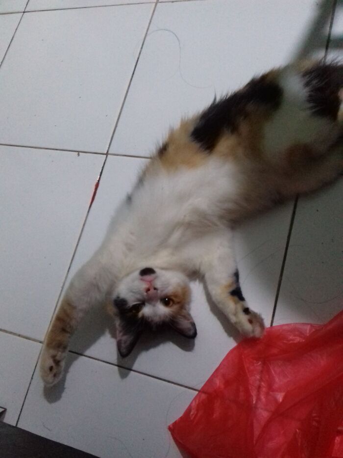 Pretending To Be A Doll