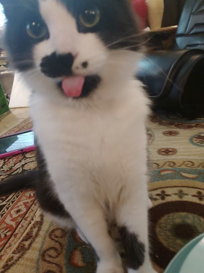 He Is Teasing Me....