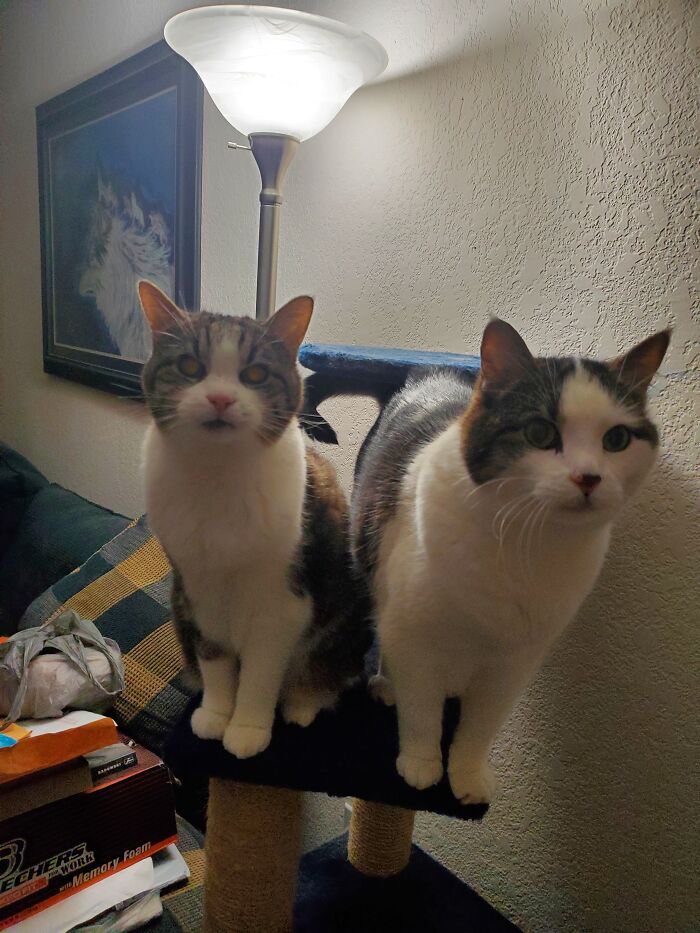 Is It Dinner Time Yet?