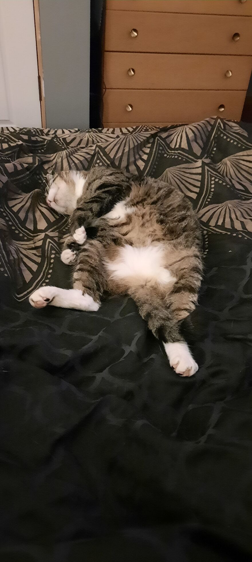 He Doesn't Want To Go Outside This Morning