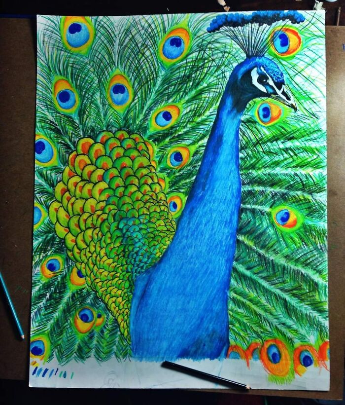 Peacock, 30 + Hours