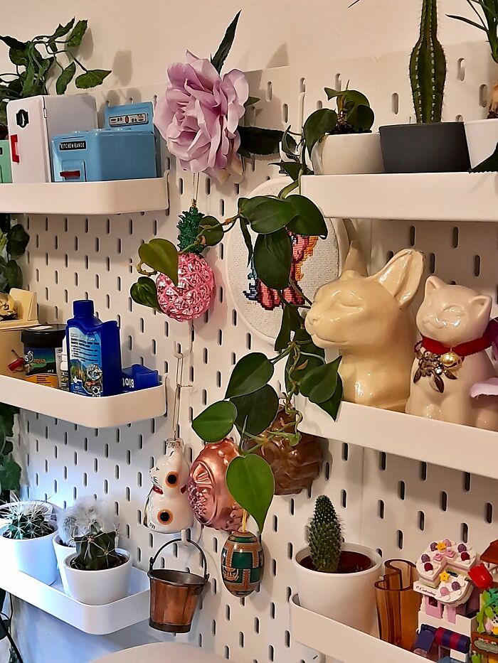 I Love My Little Creeper