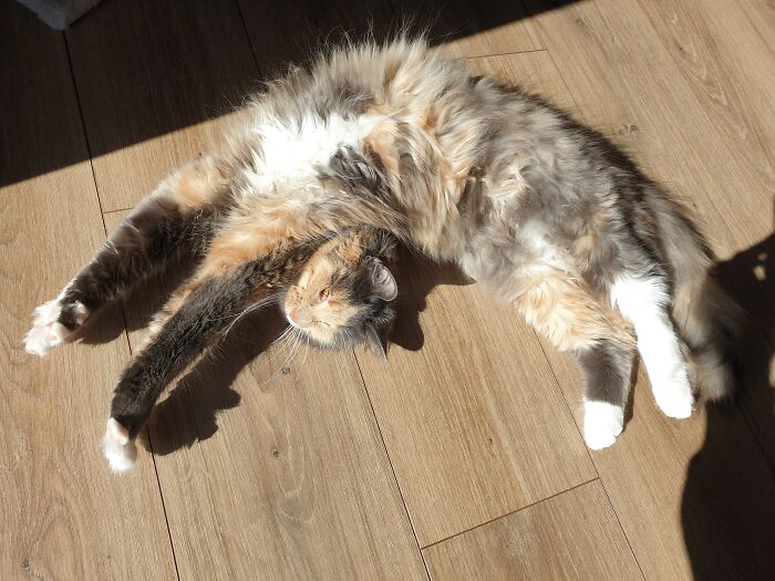 Bixit, Almost 1 Year Old, Giving Her Best Pose For This Shot