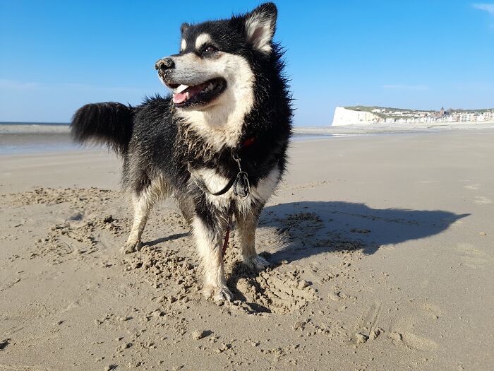 Meet Iskko, Sometimes He's Thinking And I'm A Bit Afraid. But Eventually Returns To His Normal Form 