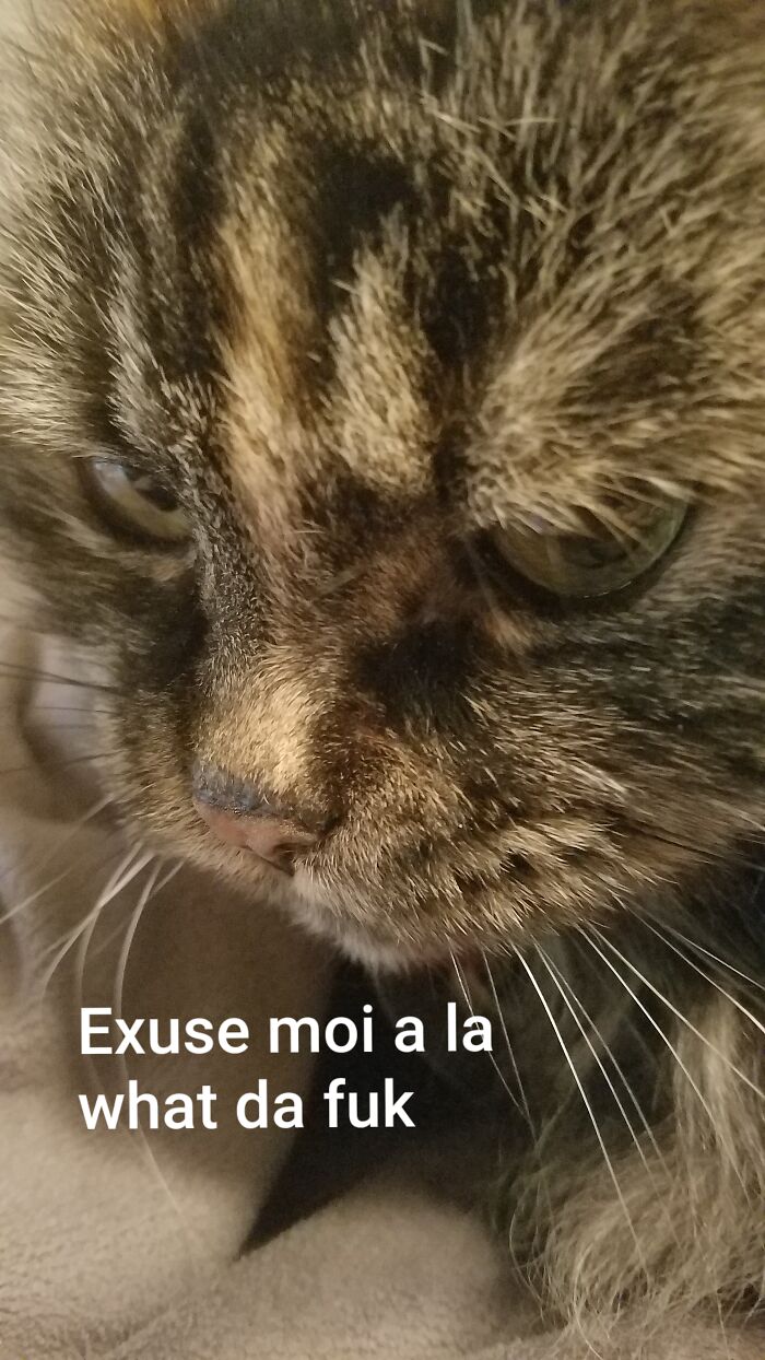 Someone Adds Ketchup To Pasta