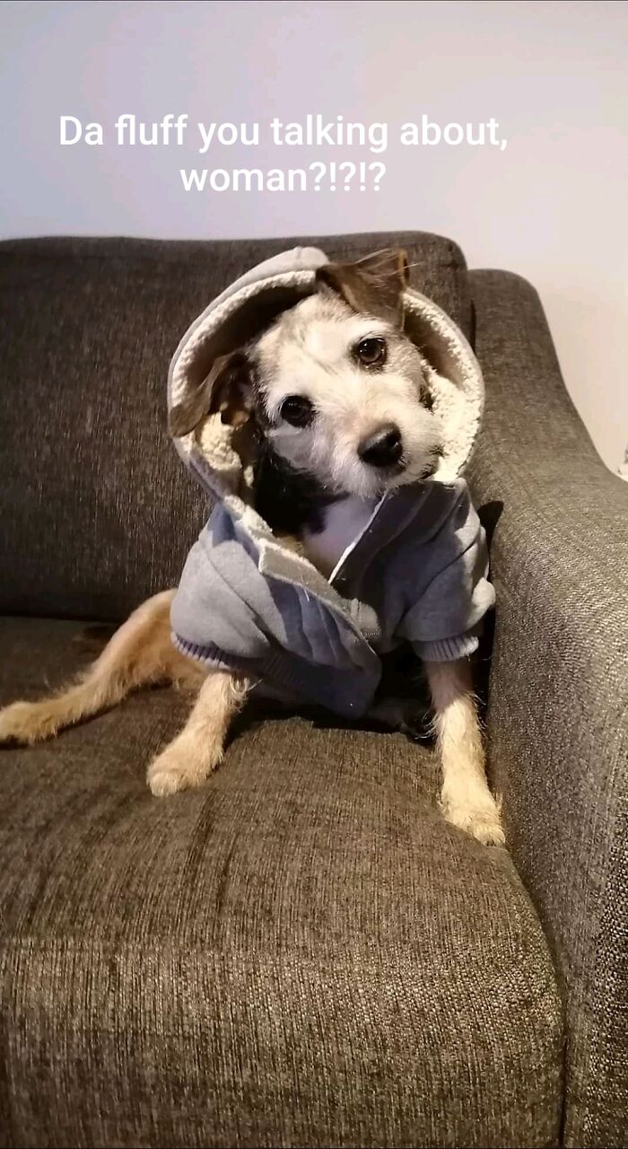 Forgot To Memeify The First One.