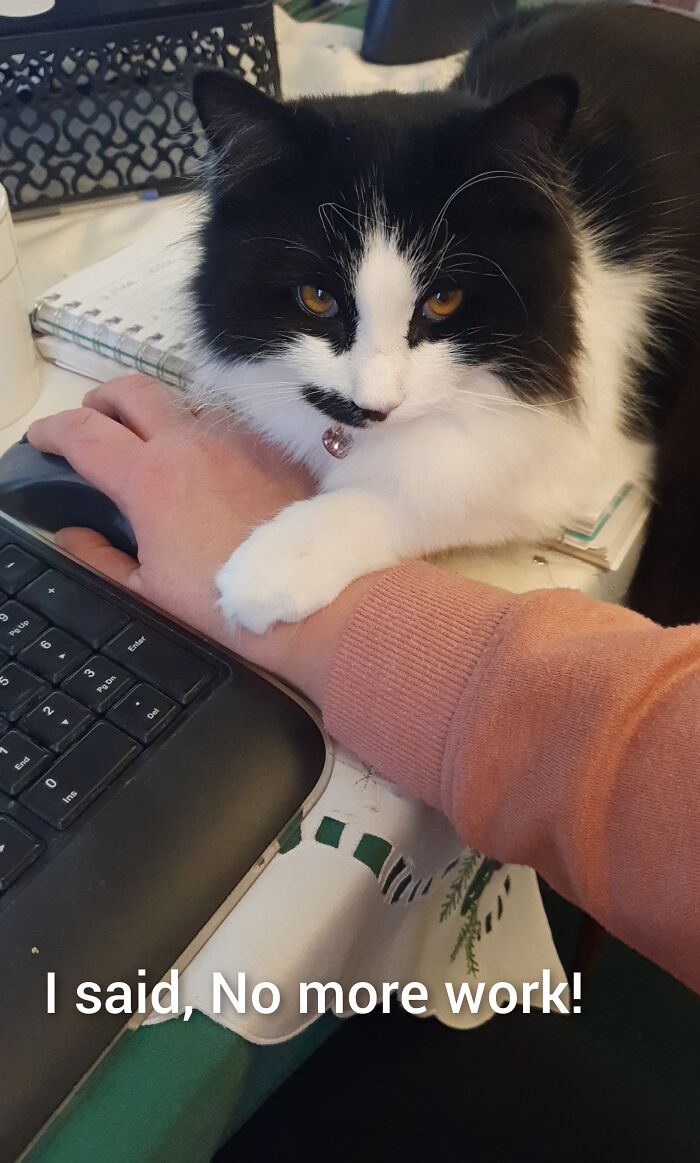 When You've Been Waiting For Playtime...