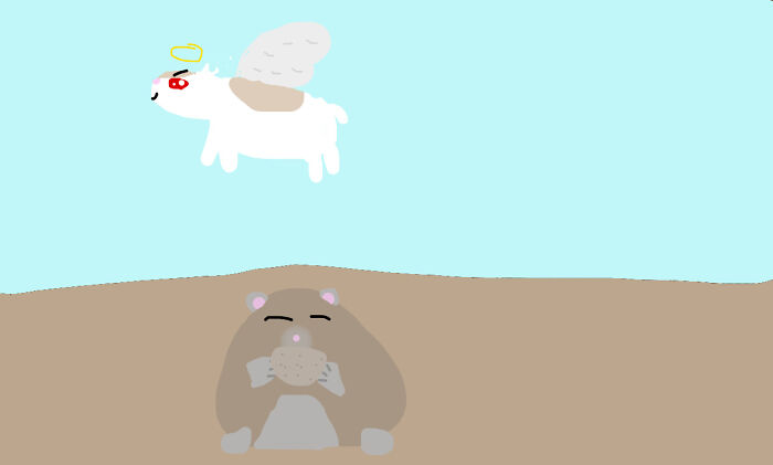 My Favorite Old Man And His Brother