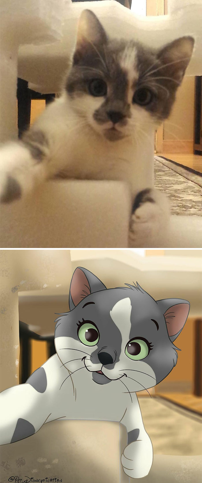 Baby Scooter From @scoot.butt 🥰 Because She’s The Cutest And This Picture Of Her Got Stuck In My Head 🥺 🤍
🖤
🤍
🖤
welcome To All My New Followers! Hope Ya’ll Enjoy My Drawings ❤️ I Also Got A Lot Of Dm’s About Commissions, Please See The Info In My Story Highlight “Commissions” For Prices/Availability/Etc 😊