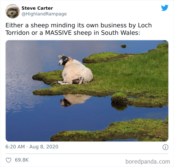 Things Have Got A Little Out Of Hand In Pembrokeshire