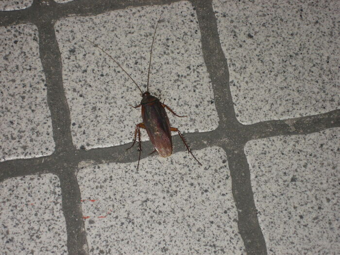 40 Of The Best Life Hacks That Sound Fake But Actually Work, Shared By People