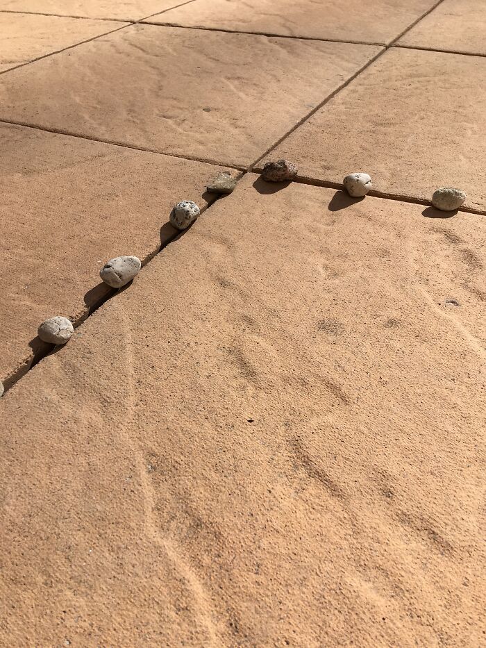 Pictures I Took While Hospitalized With Bipolar Disorder