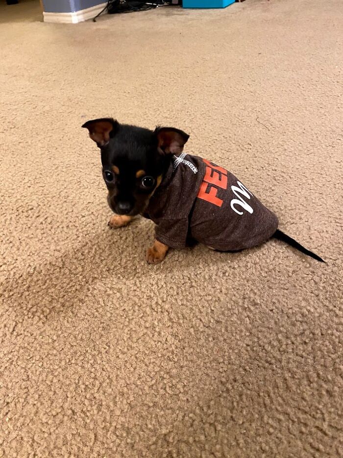 Dewy When He Was Little