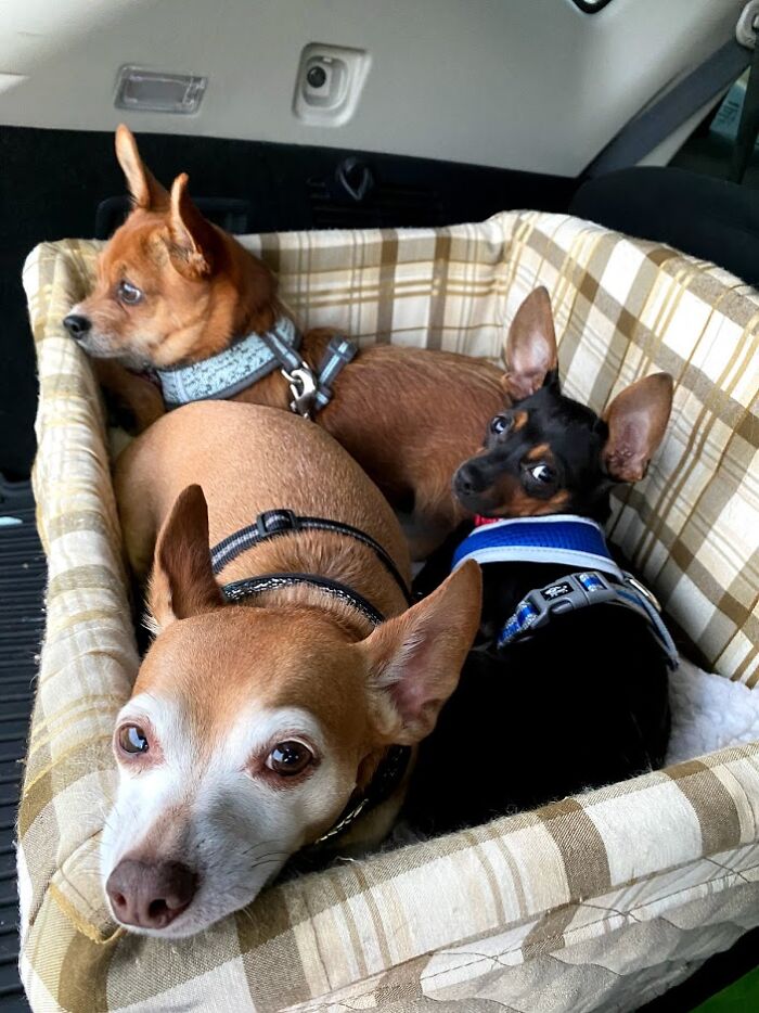 Tl Leah, Bl Cinch, R Dewy Chillin' At The Skatepark