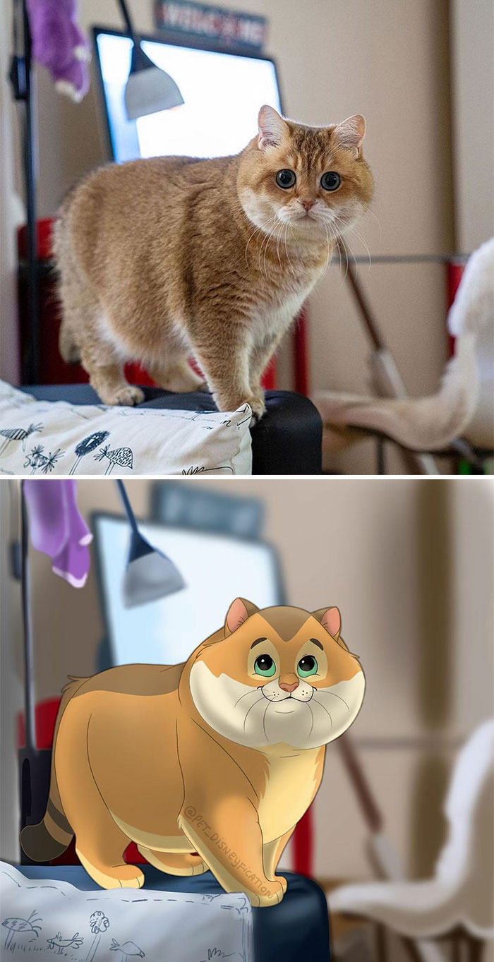 Happy Birthday @hosico_cat 🎉 ⁣
the Floofiest Cheeks Ever??!⁣
⁣
i’m Kinda Proud Of This One, So There’s Some Close UPS! ❤️ I Feel Like Instagram Doesn’t Show All The Details In One Picture. I Had A Lot Of Fun With The Pillow 🙈 ⁣
⁣
🛑 Also, Do You Guys Mind The Watermark? I’m Trying To Stop The Theft Of My Work. Hopefully This Works 🤞⁣
⁣