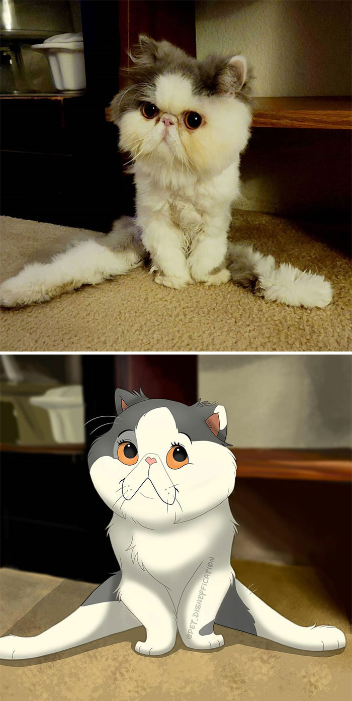 This Little Paraplegic Bugger Is Boogie From @boogies_shuffle 🥰 ⁣⁣
⁣⁣
i Honestly Don’t Even Remember How I Came Across Her But I Had This Picture Saved And It Was Too Sweet Not To Draw! 😍⁣⁣
⁣⁣
i Hope You’re All Well! I Haven’t Posted In A While Because Of Being Sick 🤢 And Some Personal Stuff. I’m Okay But Just Didn’t Have The Energy To Do Much. I Might Have Forgotten What Being Outside Is Like 😂⁣⁣
⁣⁣
i Feel A Lot Better Now Though, So I’ll Be Picking Up My Drawing Pen More Again 🤞 ❤️ ⁣⁣
⁣⁣
⁣also I Think It’s Time For A New Profile Picture! ⁣
suggestions? ⁣
⁣⁣
⁣⁣