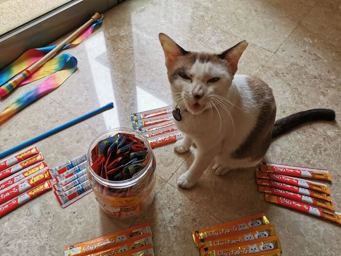 Treeeeeeeeeaaaaaatzz