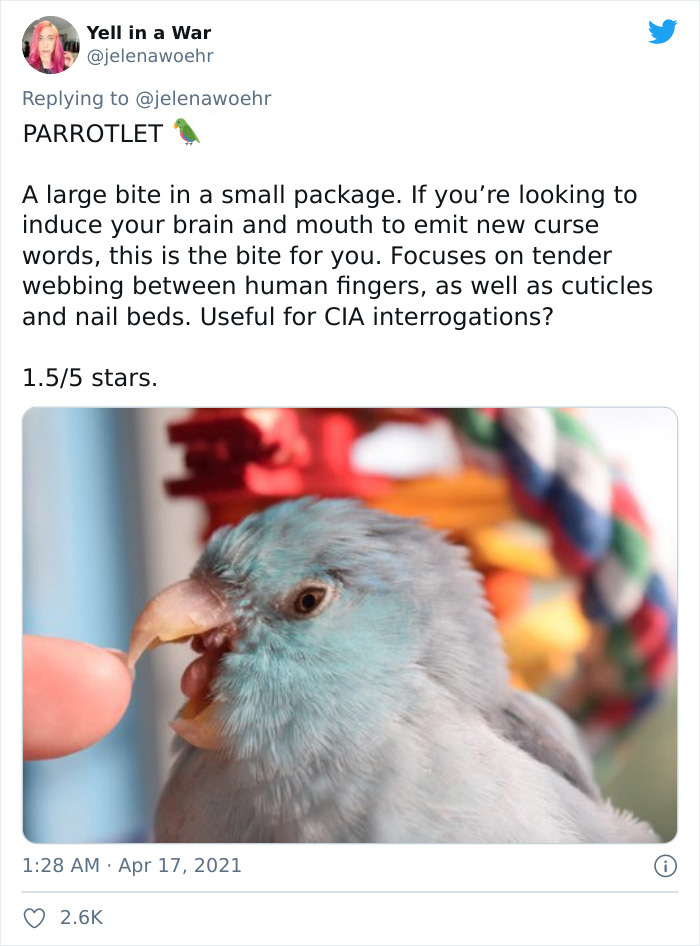 Animal-Bites-Being-Bitten-Review-Ranking-Twitter