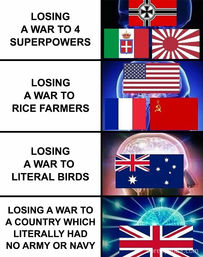 ➡️🔥s W I P E 🔥➡️ To Learn The History Behind The Meme
•
•
•
•
➡️follow @educational.history.memes For More Memes With Informative Explanations