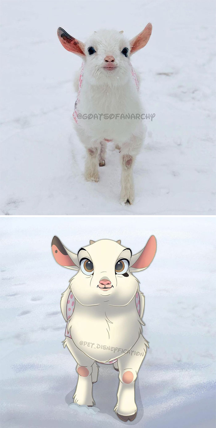 Lil Baby Juniper From @goatsofanarchy Feeling Her First Snow 😍 ⛄️ ⁣
she’s A Blind Baby And She Stole My Heart!⁣
⁣
i’m Not Super Familiar With Drawing Goats But I Like How This Came Out!⁣
⁣
i Hope It Will Snow Here (Netherlands) This Year 🤞