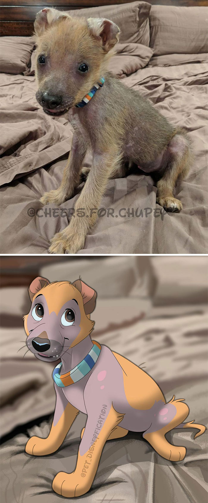 Baby Chupey Because We All Need Baby @cheers.for.chupey In Our Lives 😍❤️⁣
⁣
chupey Was One Of The First Ig Pets That I Drew For My Page! He’s Just Darling.⁣ ❤️
i Had This Picture Saved Because I Knew I Had To Draw It.
➡️swipe To See The Old Drawing Of Adult Chup (Which I Still Really Like!) 💕