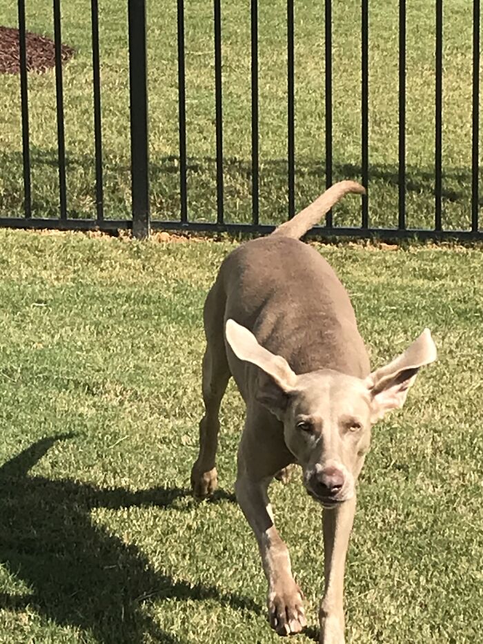 Not My Worst One But Her Facial Expression...