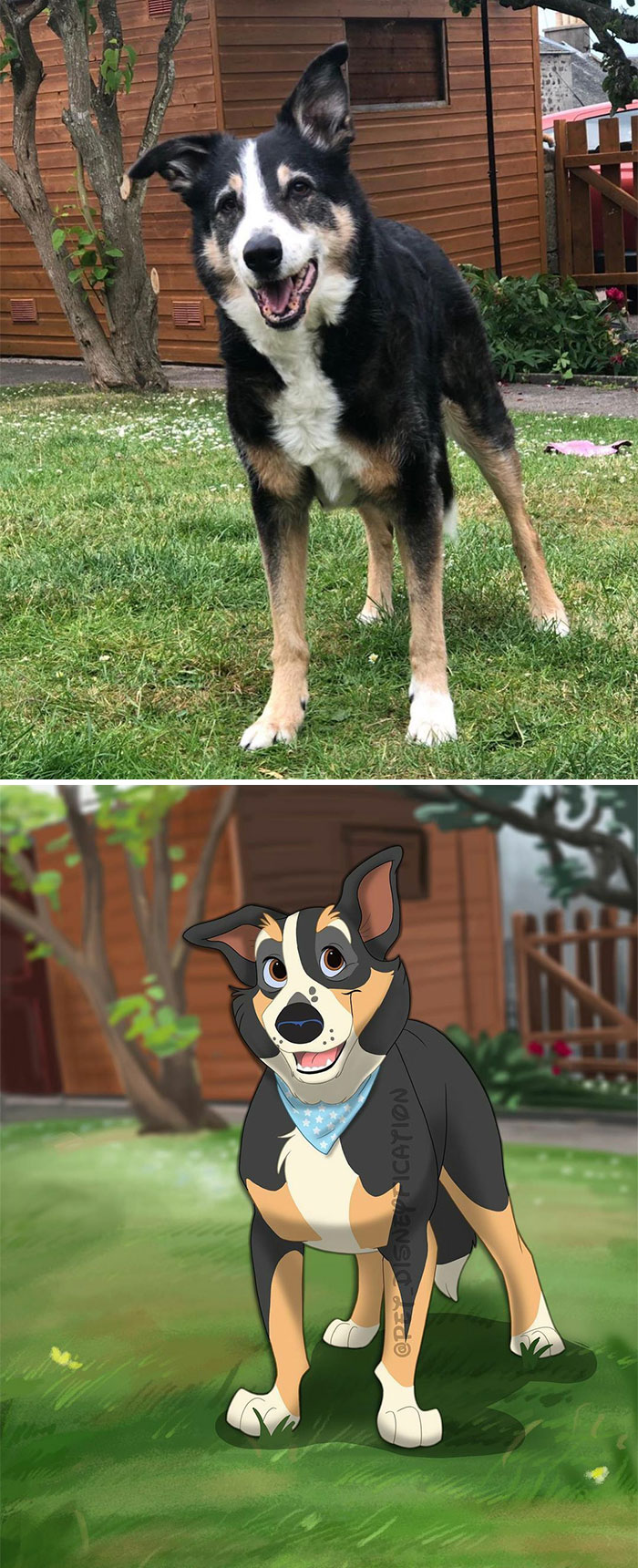 Here’s A Few Commissions I Made The Past Month (Including My Very First Horse Commission! Yay!) 😄🐴⁣
⁣
i Love Doing This Work So Much. Like.. Is This Not The Best Job Ever? Looking At Cute Animal Pics And Drawing All Day?! ⁣
⁣
it’s Still A Job, So I Of Course Get Stressed, Have To Work Late To Meet Deadlines, Have To Do My Paperwork And Taxes. But I Literally Couldn’t Think Of A Better Job. Thanks Everyone For Making This Possible 🥰⁣
⁣
⁣
⁣
⁣
⁣