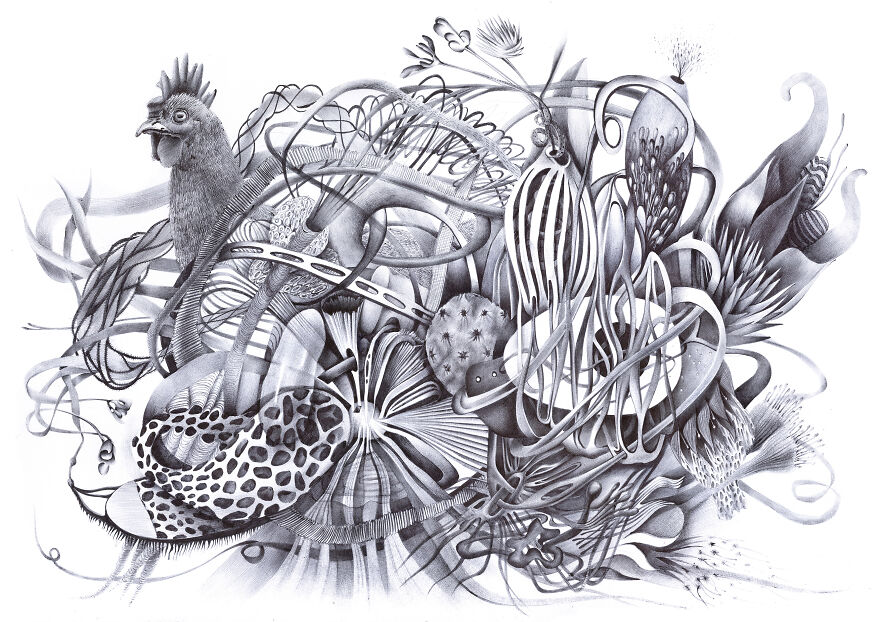 The Inner World Of The Chicken