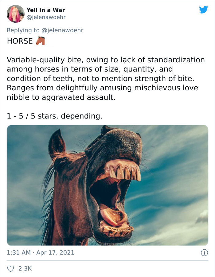 Animal-Bites-Being-Bitten-Review-Ranking-Twitter