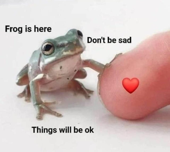 This Holesome Frog Meme
