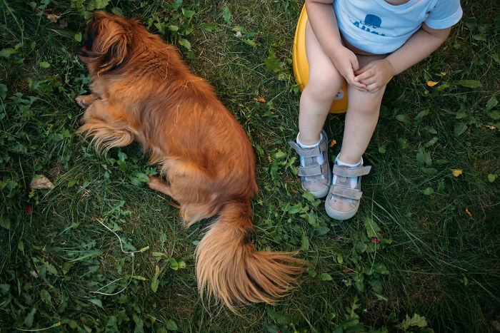 37 Of The Creepiest Things Kids Have Said About Their ‘Past Lives’ Shared In This Online Group