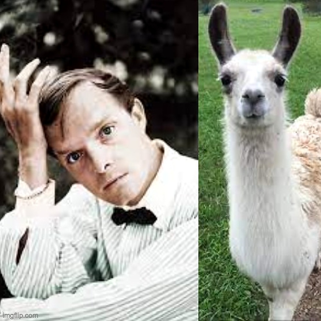 I Compared The Heights Of Famous Writers With Animals