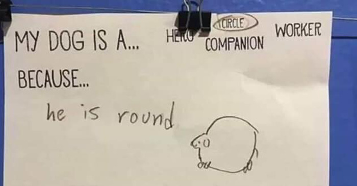 Wholesome-Heartwarming-Memes