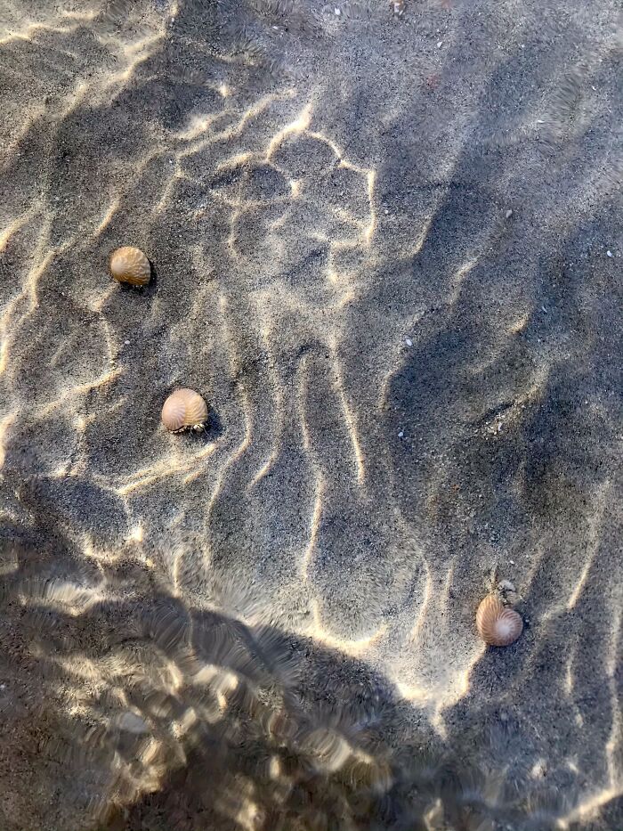 Beach Near Sir Baniyas Island In Abu Dhabi