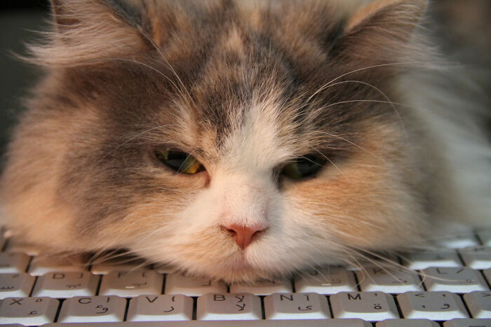 She Dictates, It Is Time For A Break!