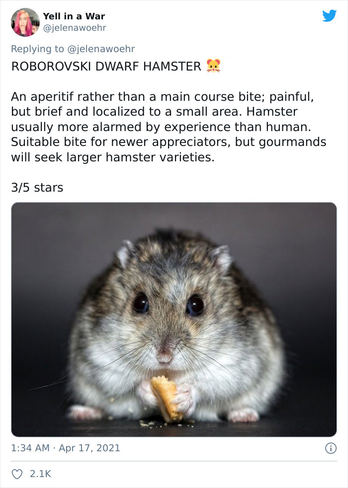 Animal-Bites-Being-Bitten-Review-Ranking-Twitter