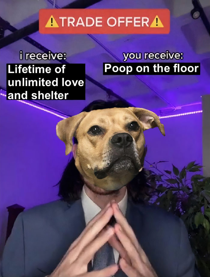 Dog-faced person in suit humorously presenting a "Trade Offer" meme.