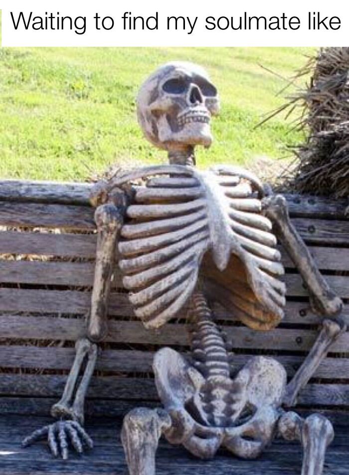 Funny-Single-People-Memes