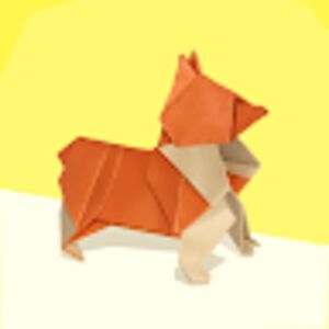 Camila Gallegos Sanchez